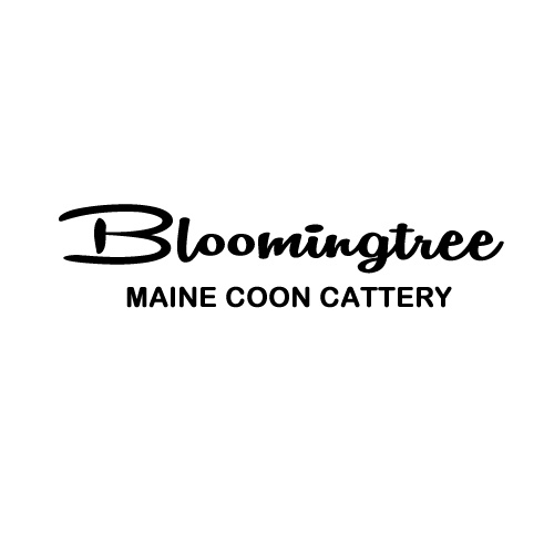 Bloomingtree Logo 1