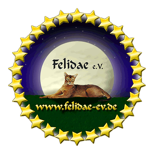Felidae 500 500