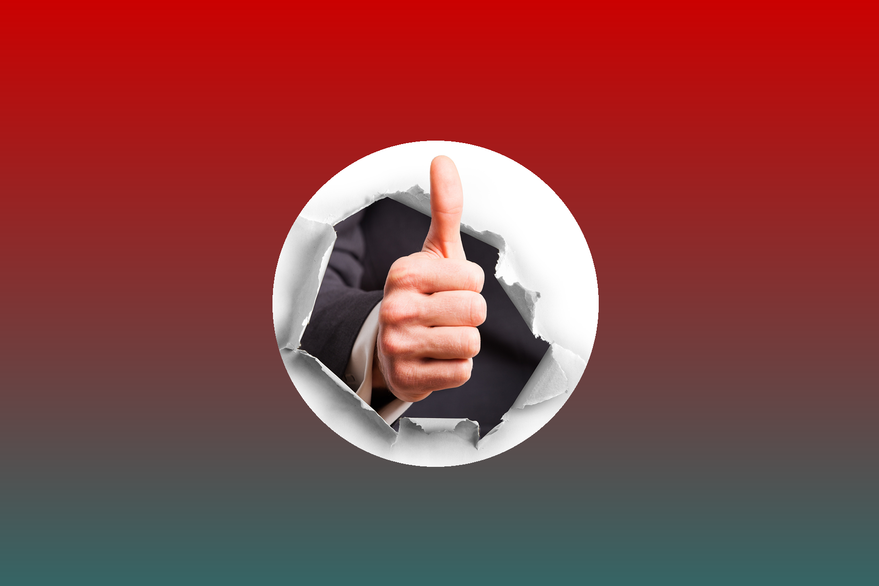 Seriösen Katzenzüchter finden Seriösen Katzenzüchter finden